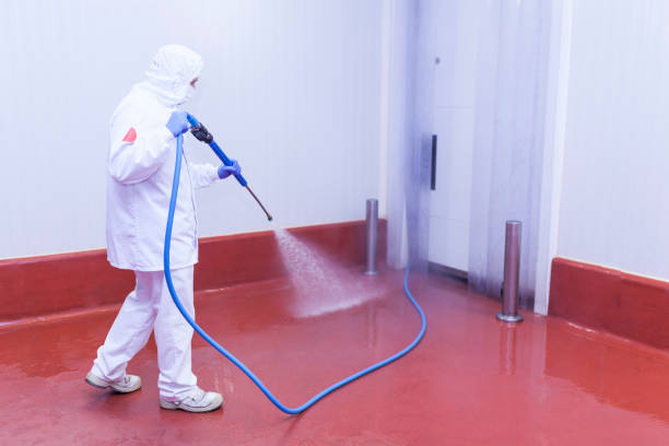 Best Playground Equipment Cleaning  in Crandall, TX